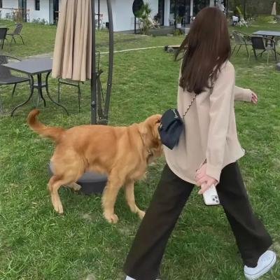 性感尤物
